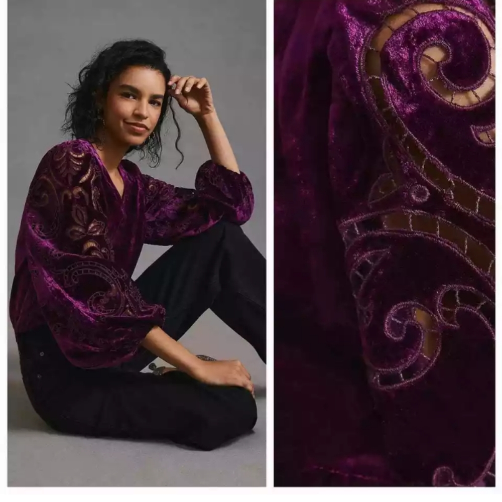 Anthropologie Velvet Embroidered Blouse in Plum